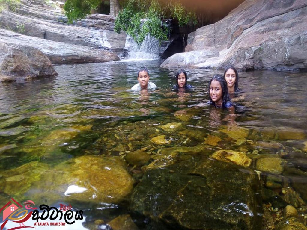 Attalaya Home Stay photo