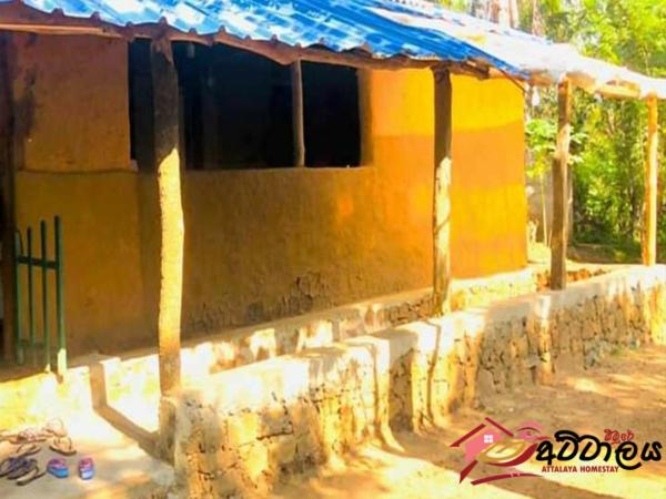 Attalaya Home Stay photo