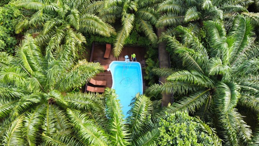 Khaosok Good View Resort photo
