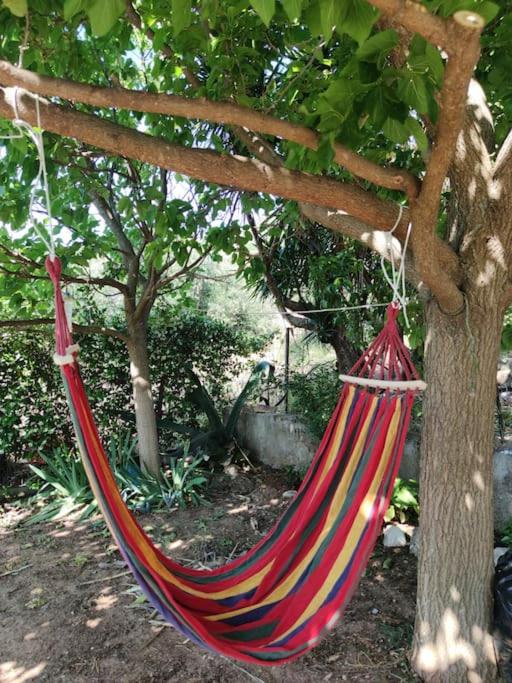 Eliza's guest house photo
