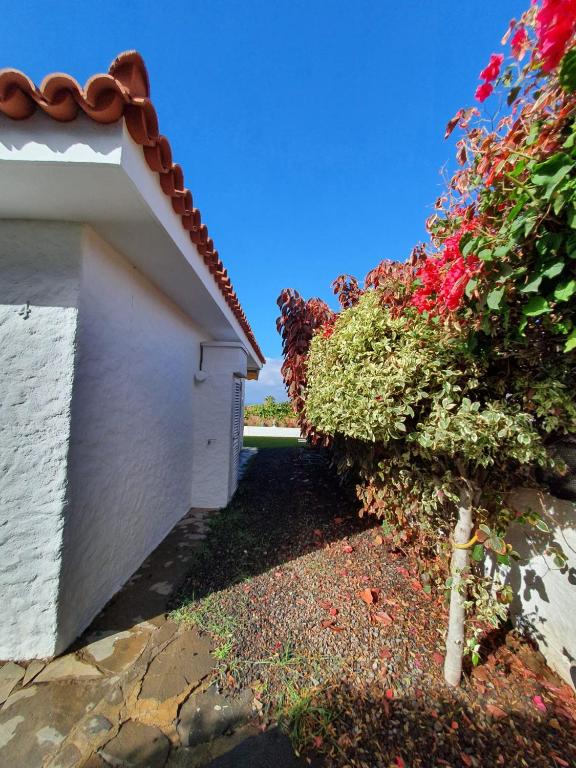 Cozy and intimate bungalow in Puerto de la Cruz - 3