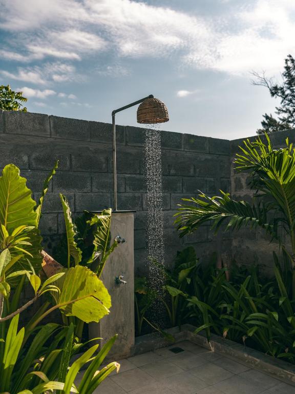 LOTUS VILLA photo
