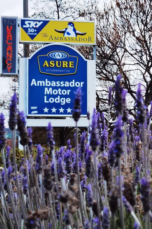 ASURE Ambassador Motor Lodge photo