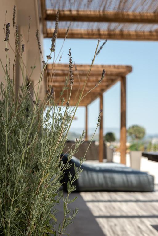Ananta Blue Residence — Hotel in Zakynthos Island