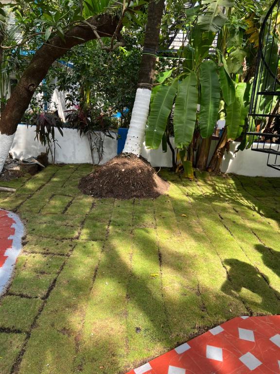 Grand Royale Cottage Anjuna photo