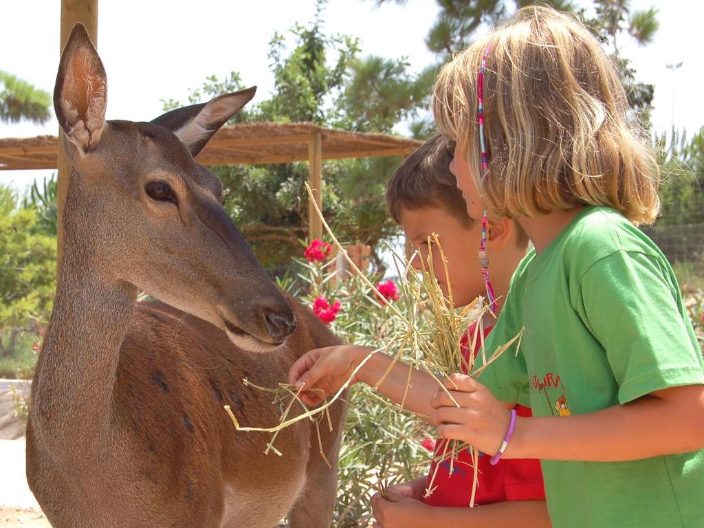 Magic Natura Resort — Attractions for children in Benidorm, Valencian Community
