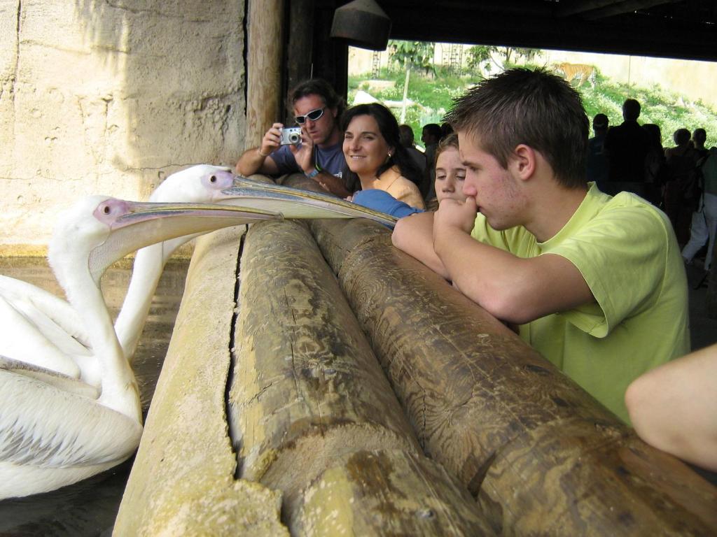 Magic Natura Resort — Attractions in the area in Benidorm, Valencian Community