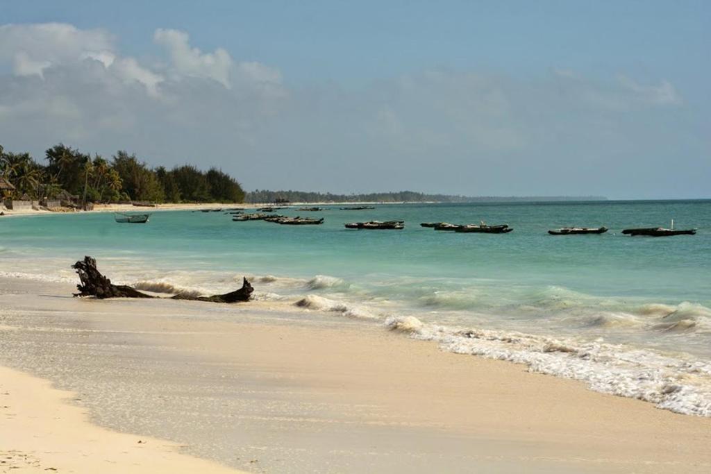 Kipepeo Lodge Zanzibar photo