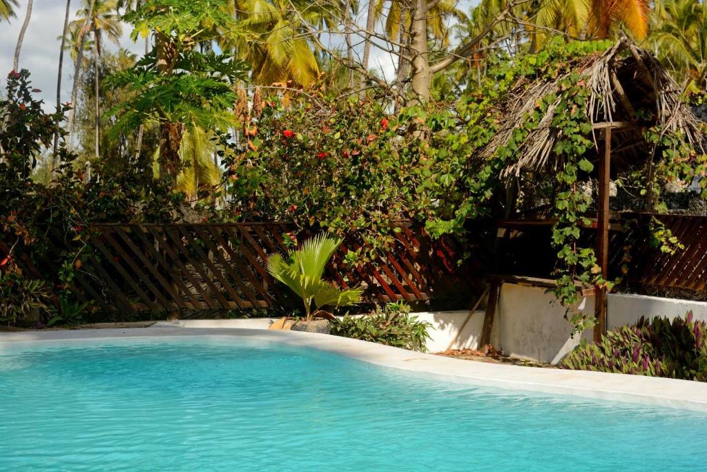 Kipepeo Lodge Zanzibar photo