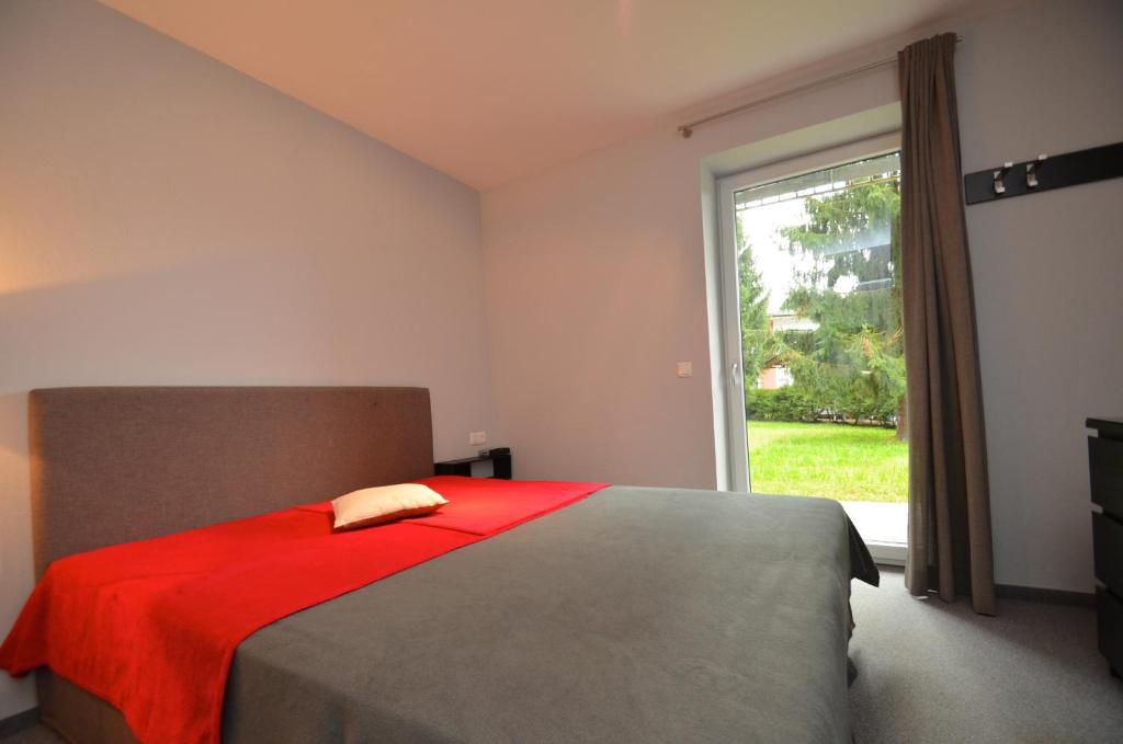 Appartement 1 Chambre avec Terrasse - Top 1