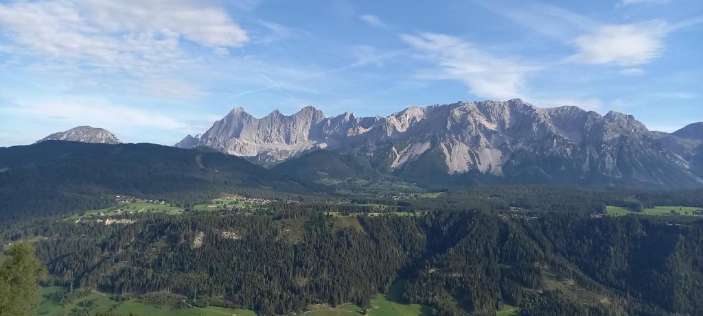 Hotel Pension Berghof - 3
