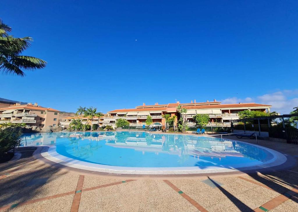Retama del Teide, Puerto de la Cruz - 1