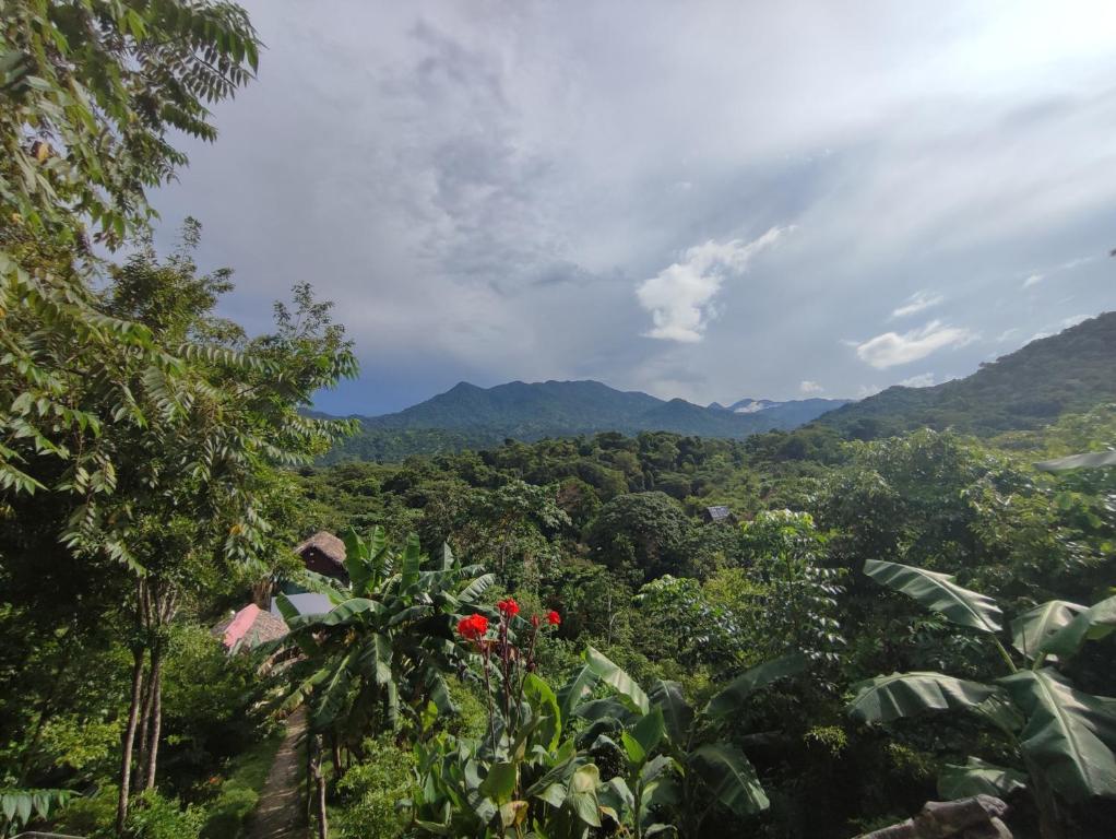 Mirador Dentro del Parque Tayrona photo