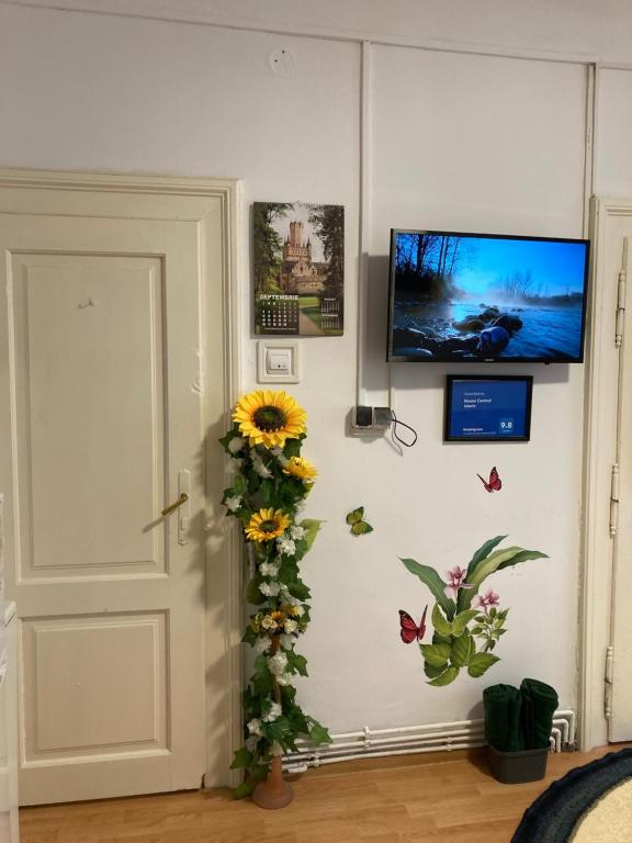 House Centrul Istoric photo