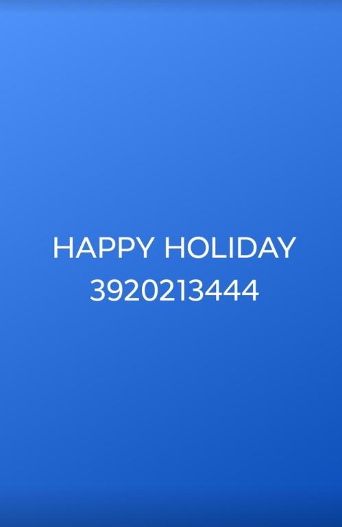 Happy Holiday photo