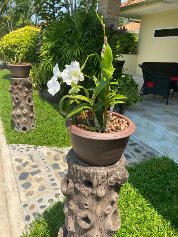 Hua Hin photo