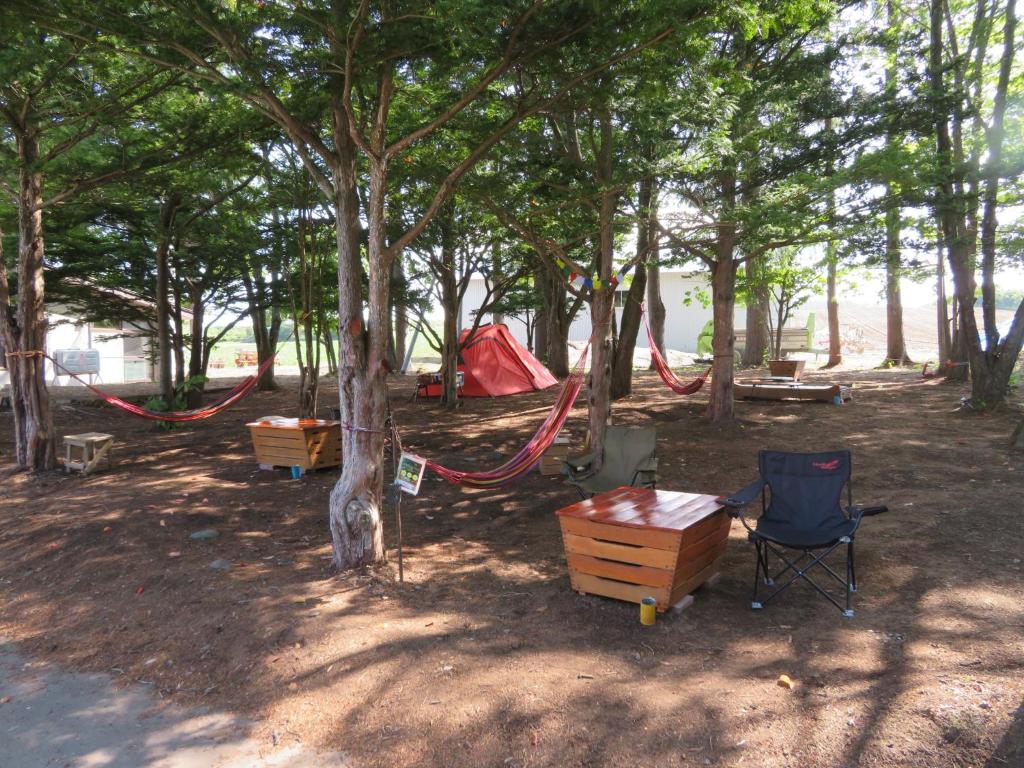 Mizu no Gakko photo