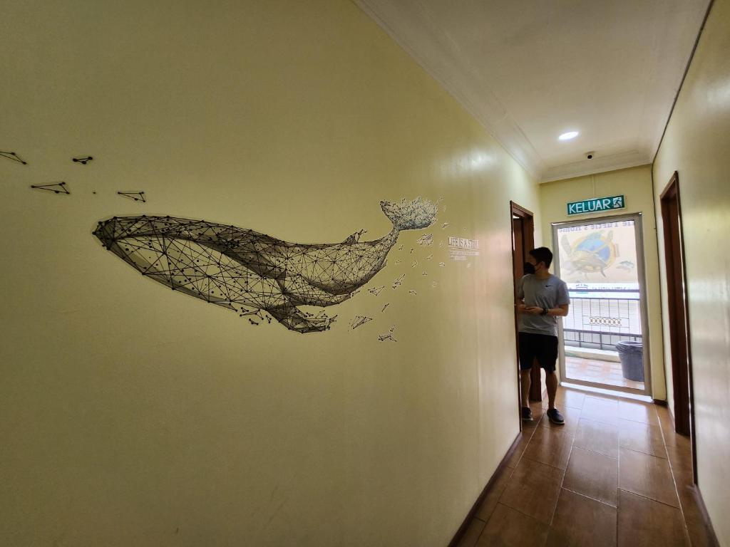 LTH (Little Turtle's Home) photo