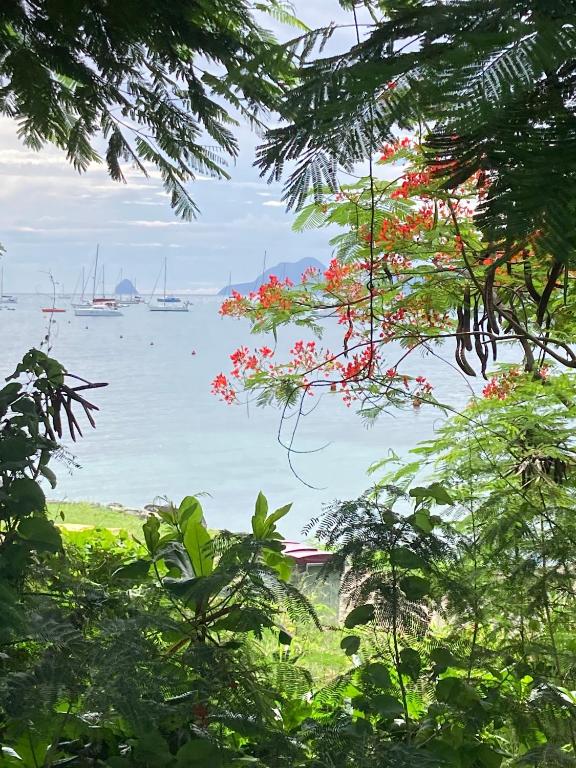 Le Toutapied , Sainte-Anne, appartement en plein centre, Sainte-Anne