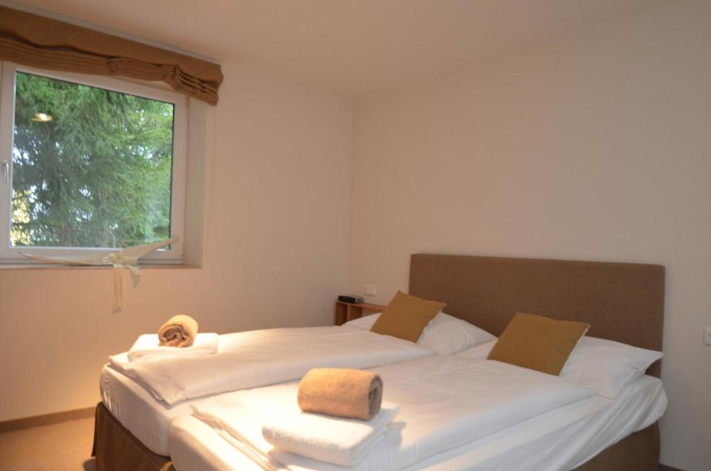 Grand Appartement 1 Chambre avec Balcon - Vue sur Montagne - Top 5