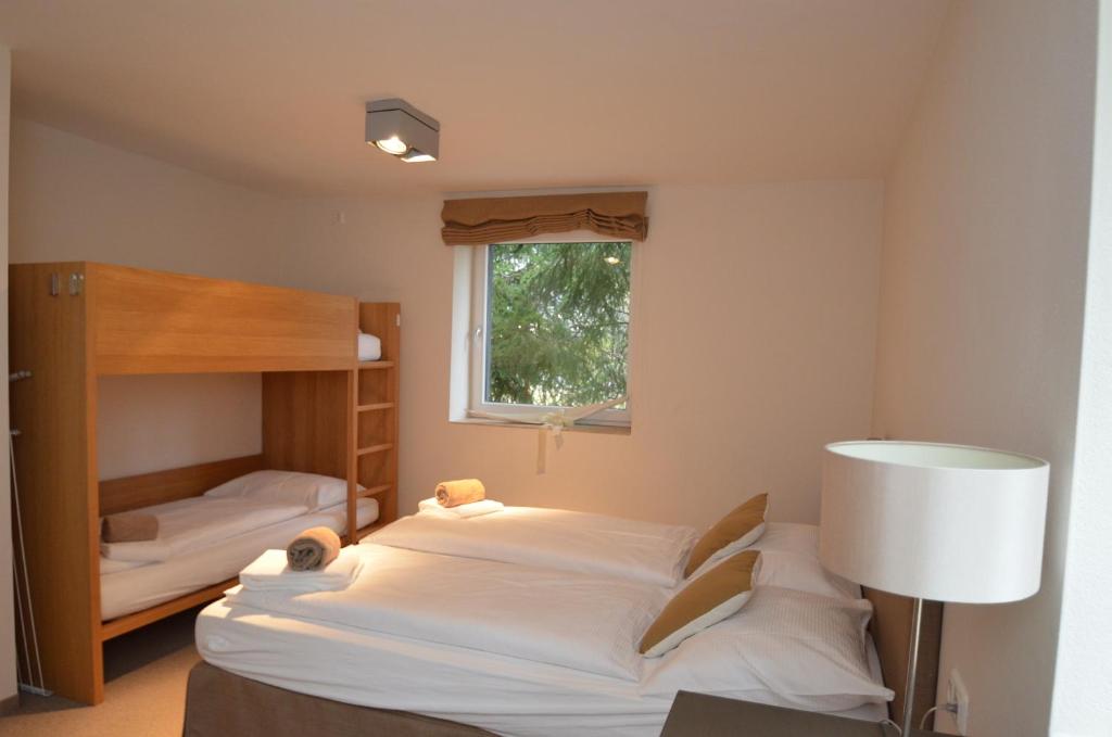 Grand Appartement 1 Chambre avec Balcon - Vue sur Montagne - Top 5