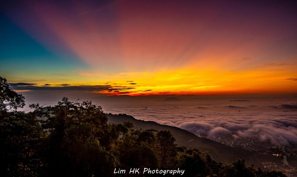 Hickory Penang Hill photo