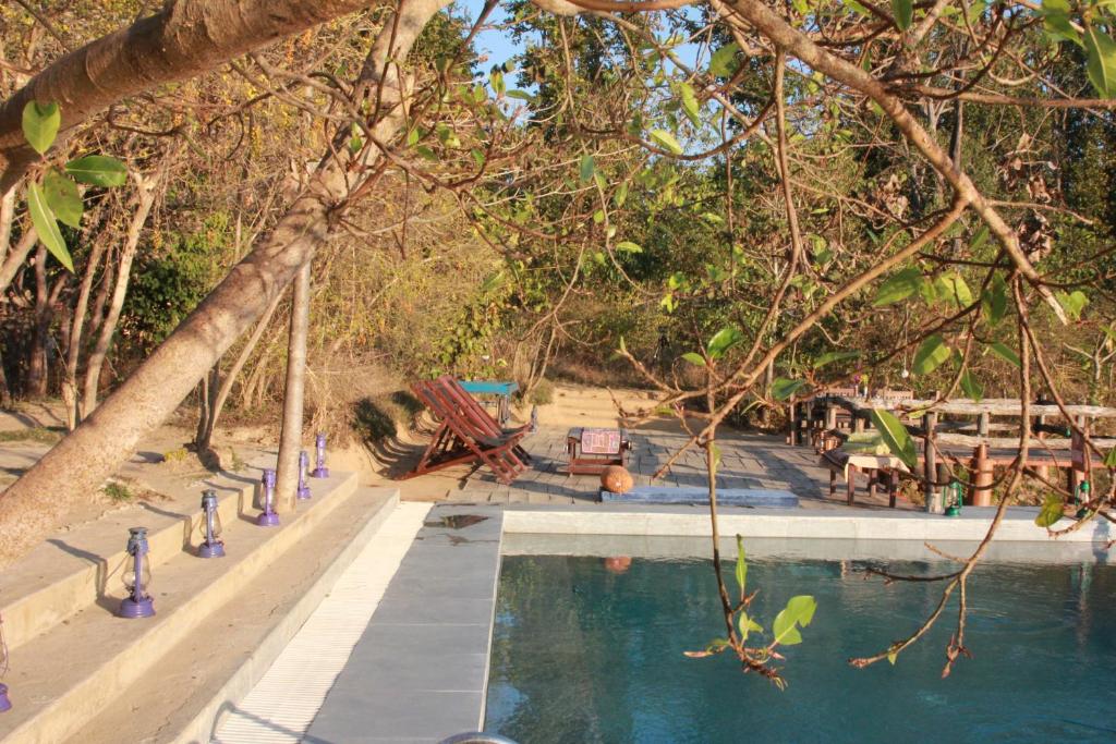 Saccharum Safari Lodge photo