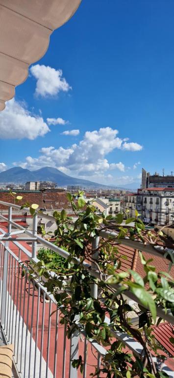 Il Balconcino - 2