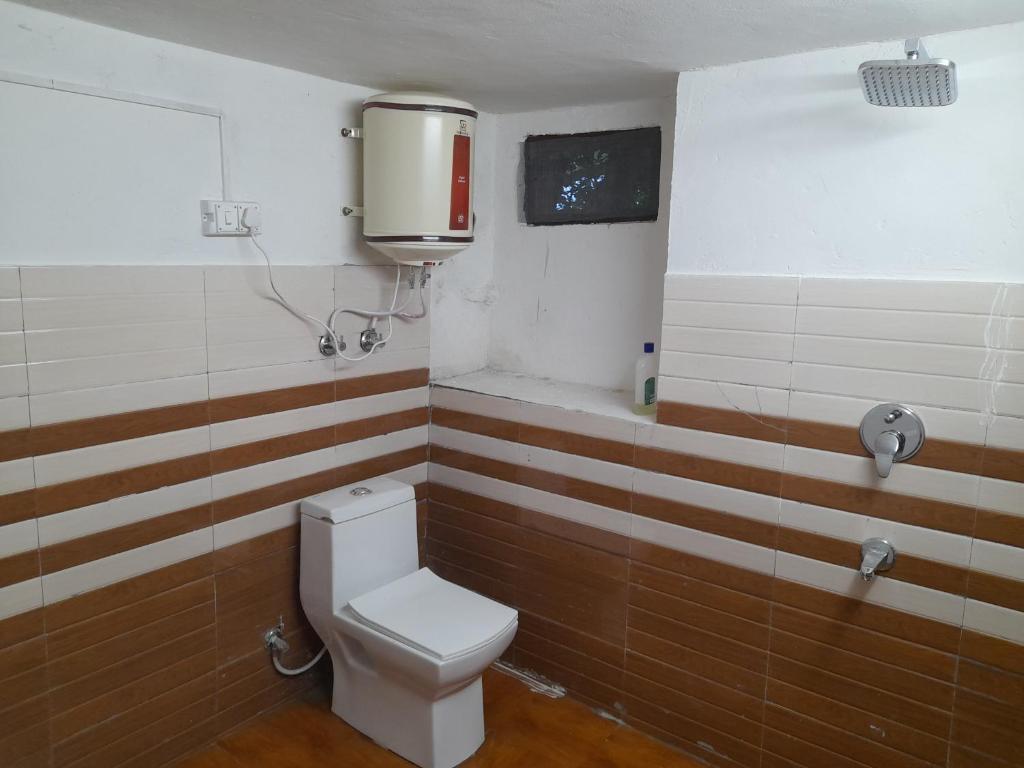 Attic Monkey - Hostel & Cafe photo