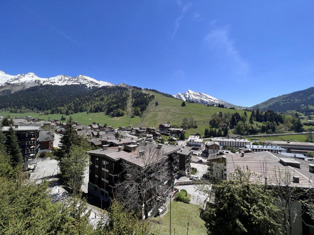Ours Blanc 9 - Studio 4 pers belle vue montagnes et pistes - 2