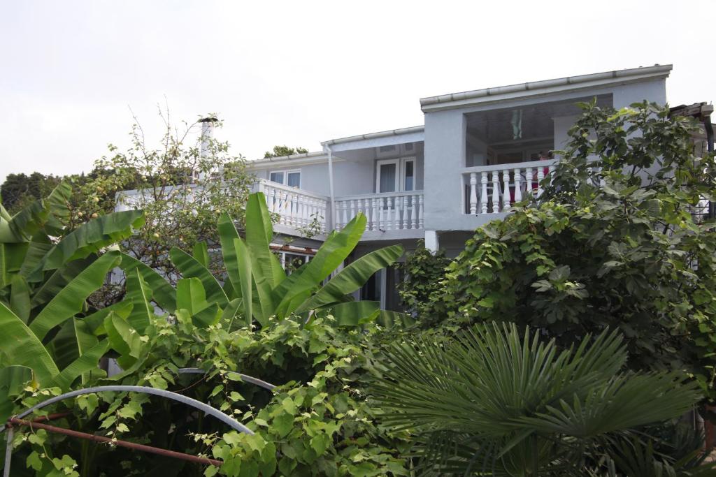 Hitas house 전경