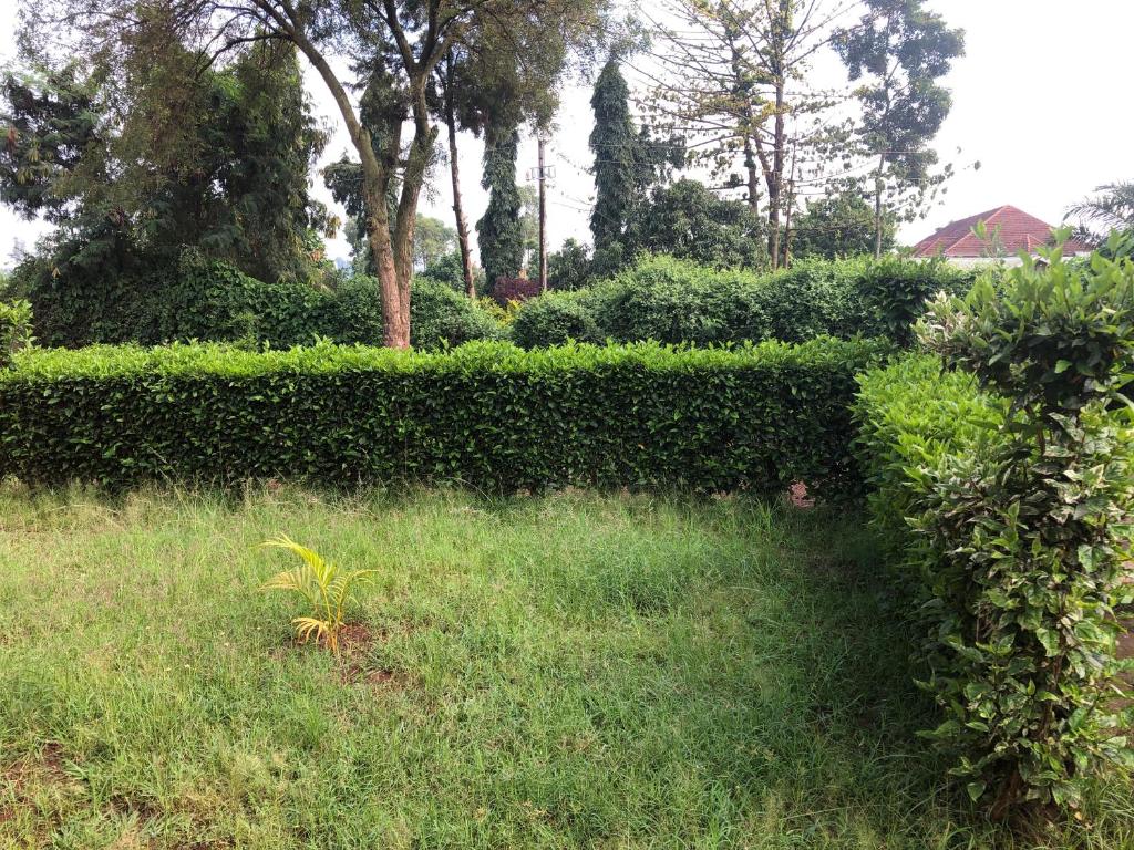 Colonial Guest House- Mbale photo