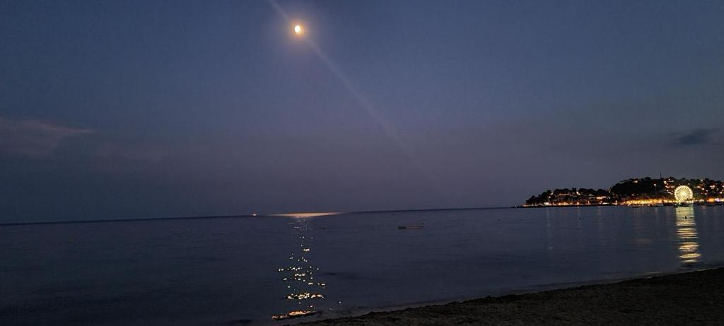 Le Tamaya plage Charmant T2 en rez de jardin A 2 pas d une belle plage de toutes commodités et centre ville port - 4