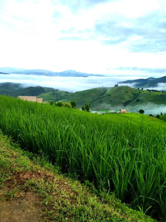 บ้านพักหน่อลอเคาะ ป่าบงเปียง photo