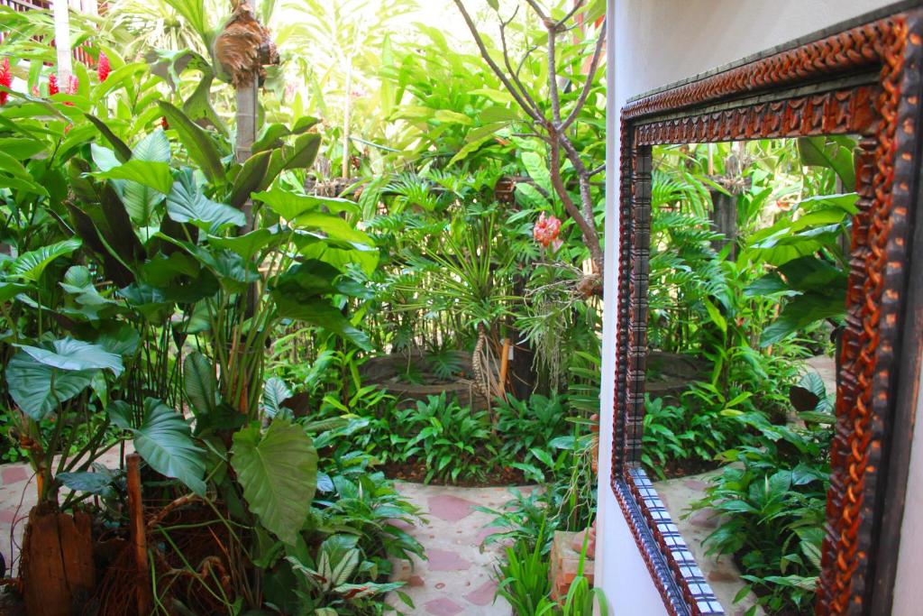 Surrounding environment