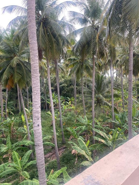 WHITE HOME SERVICE APARTMENT 2bhk — Hotel in Madurai