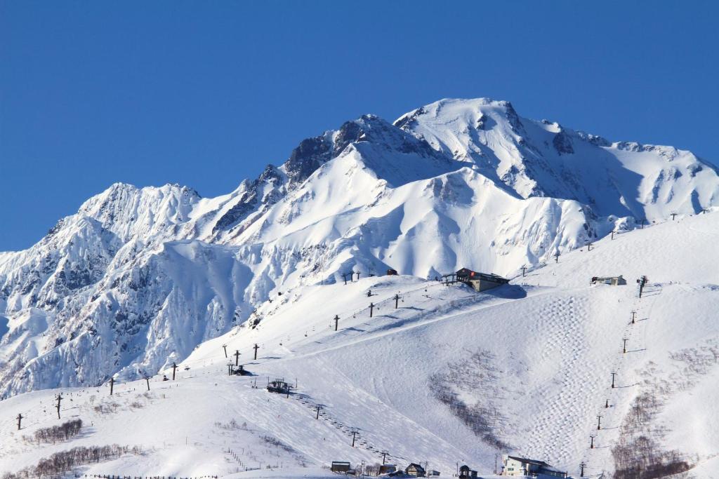 Hakuba Mountain Chalet 호텔 이미지 2