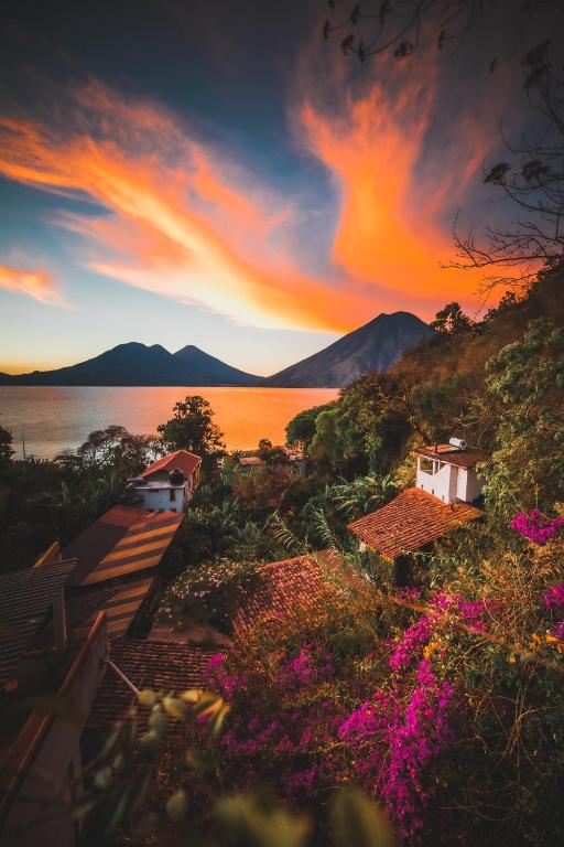 Lush Atitlan photo