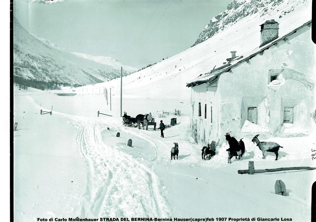 Gasthaus & Hotel Berninahaus - 4