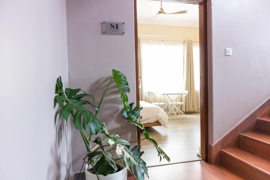 Kibu Home photo