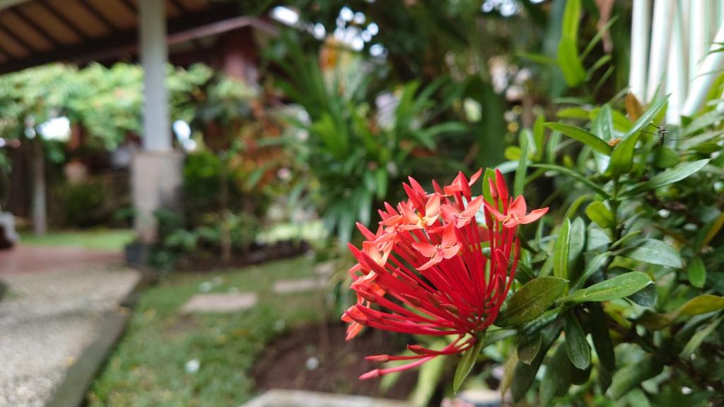 Bale Asri Bukit Jimbaran photo