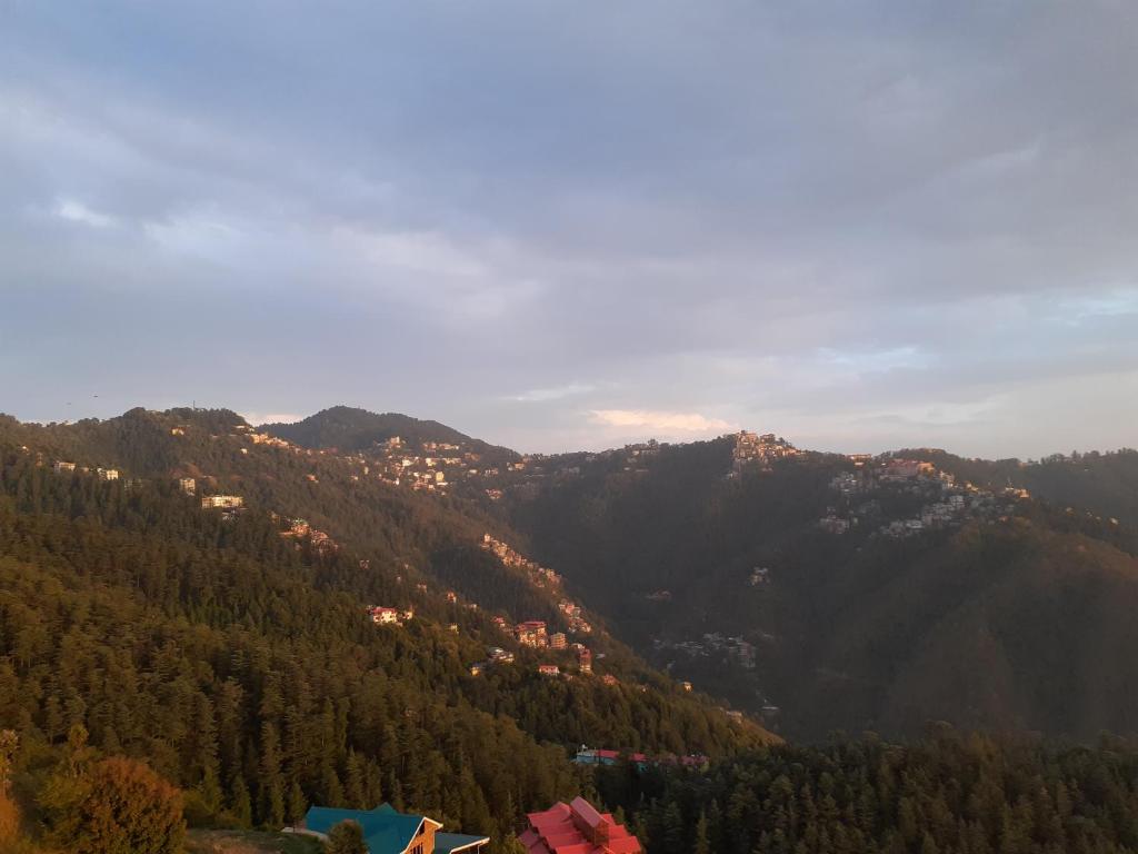 Anand Niketan Homestay Shimla photo