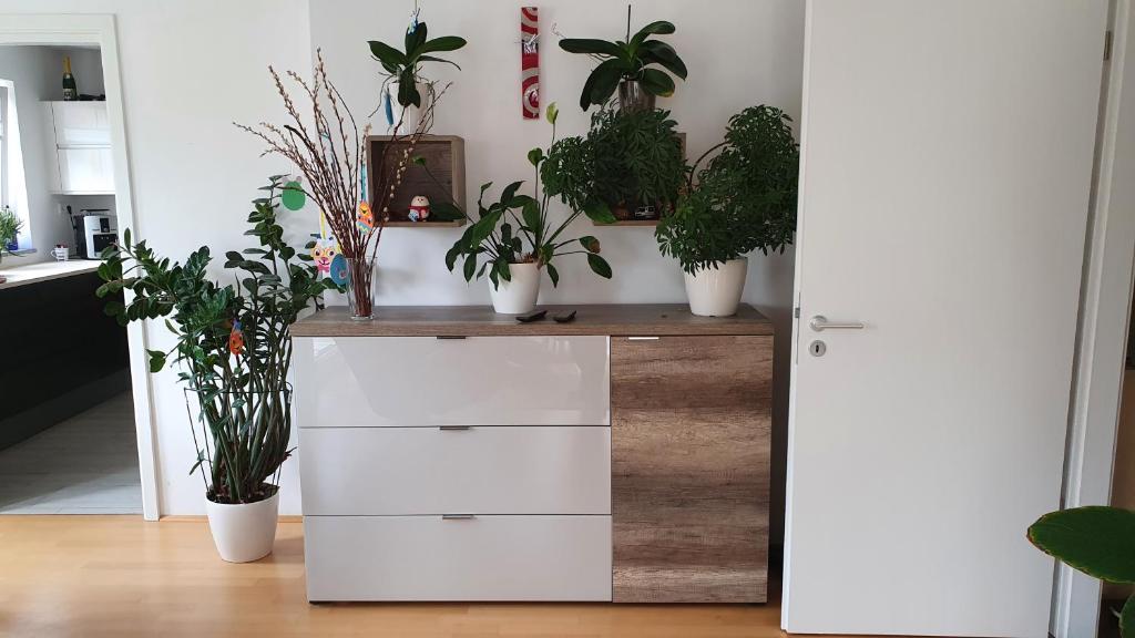 moderne 4 Zimmer -Wohnung I BBQ I Parkplatz - 4