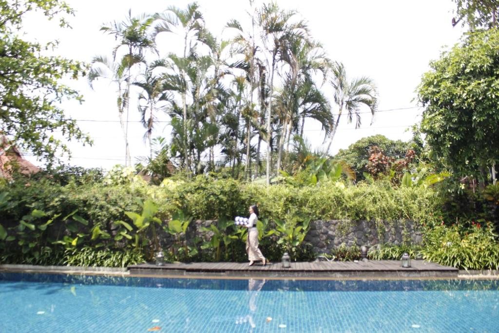 The Shalimar Boutique Hotel photo