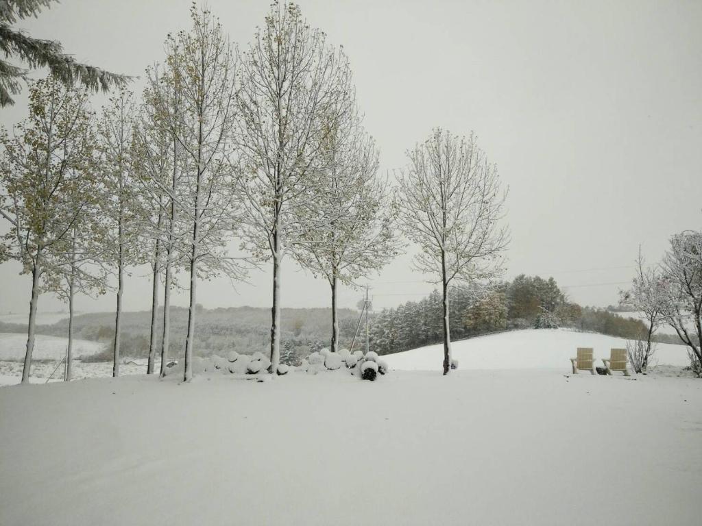 Adagio Villa photo