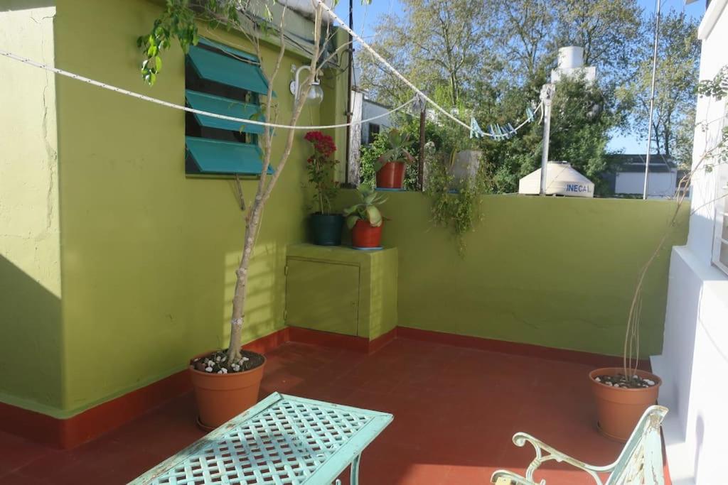 Spacious house with garden, La Plata center. - 5