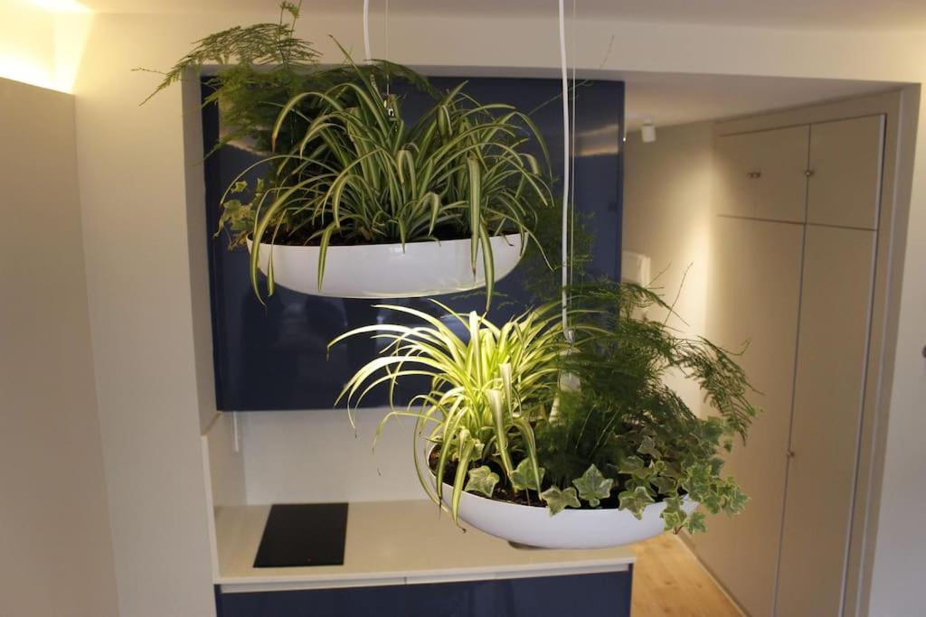 Apartamento por temporada Centro Diseño Madrid - 4