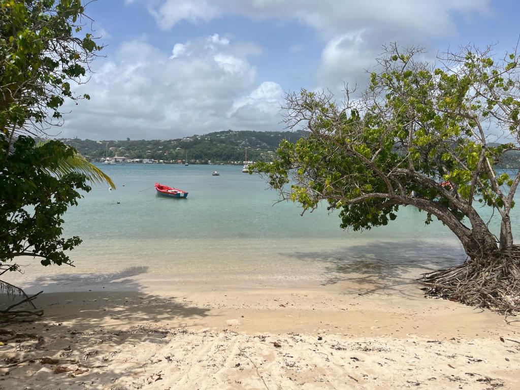 VALIMEA, La Trinité