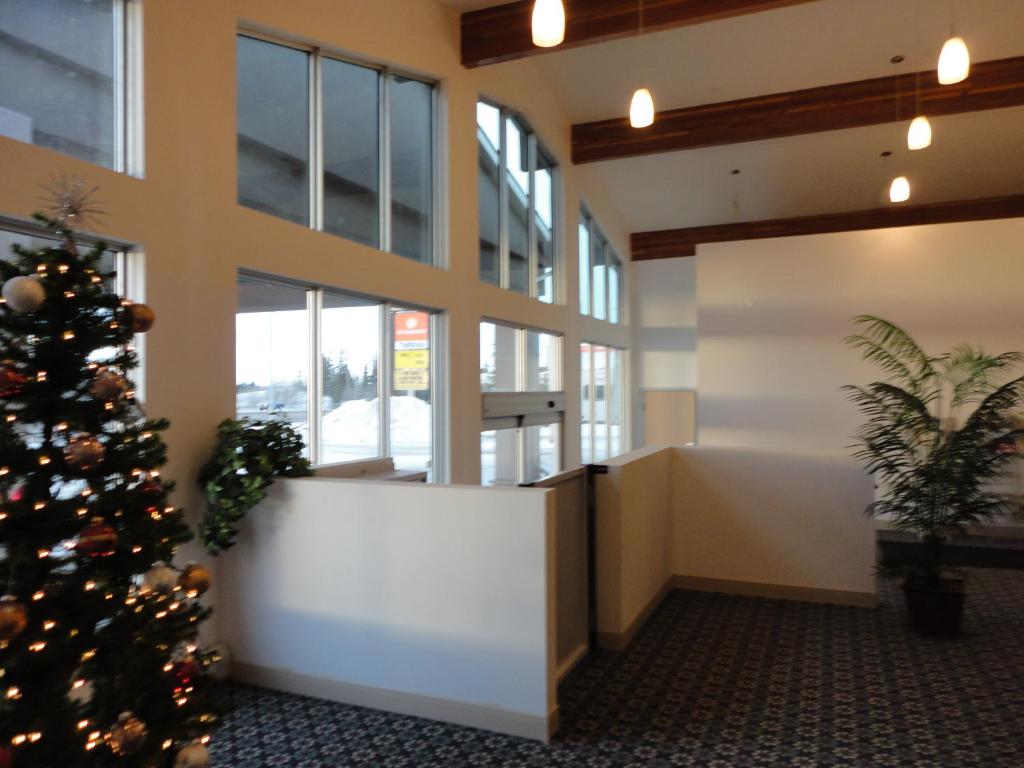 South Hill Motor Inn photo
