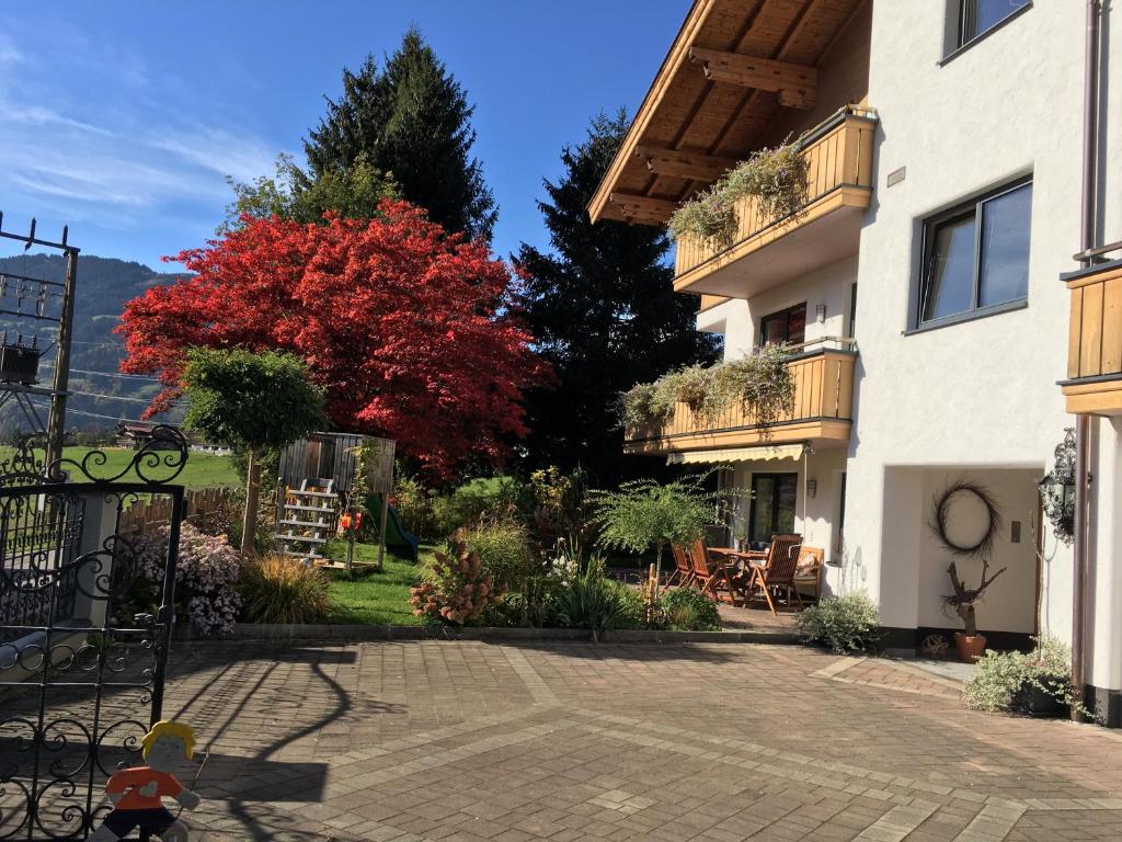 Appartement Kollingwald - 3